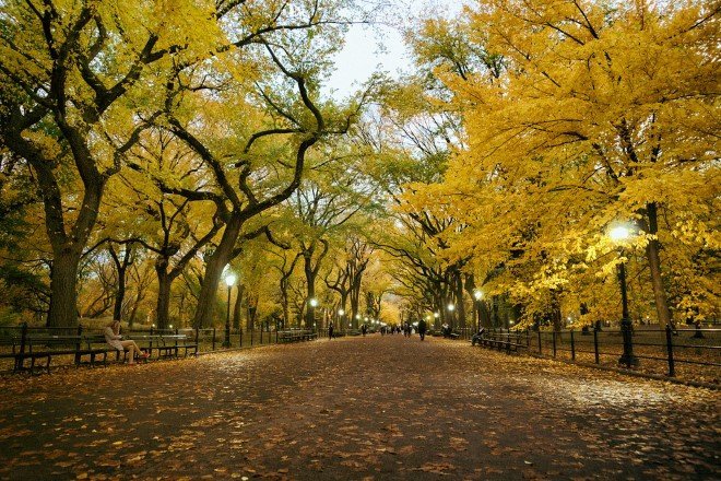 Central Park, New York