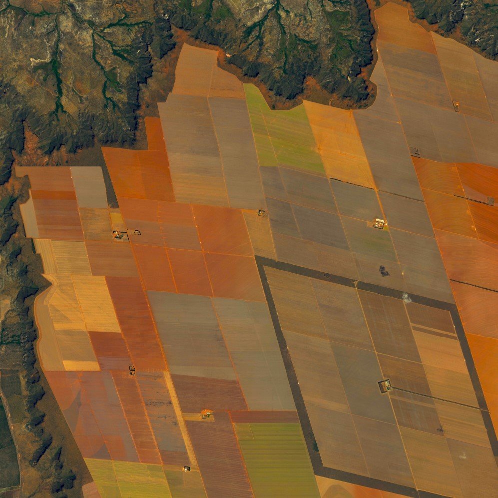 Soybean fields