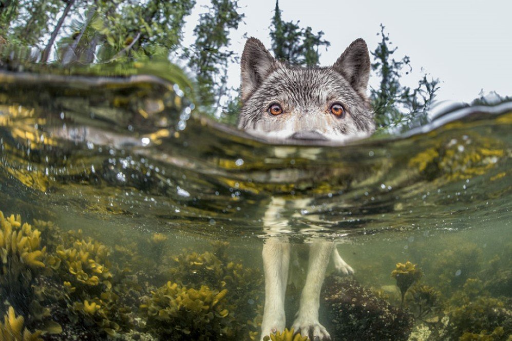 British Columbia, Canada