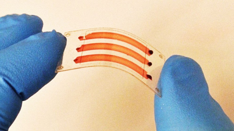 Printable Biosensing Strips