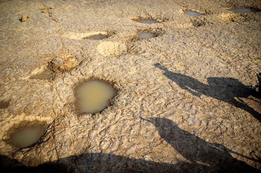 Around 90 footprints of dinosaurs were found in a quarry in Muenchehagen, Germany in August which were thought to be 140 million years old. Archaeologists believed that they were from long-neck dinosaurs.