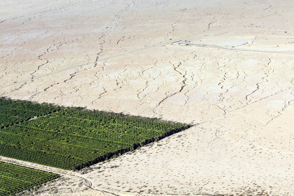 Irrigated citrus trees surrounded by bone-dry land delineate the stark impacts of the extreme drought in Westmorland, California –May 1, 2015