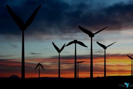This Bizarre Hummingbird Wind Turbine Aims to Power Your Homes