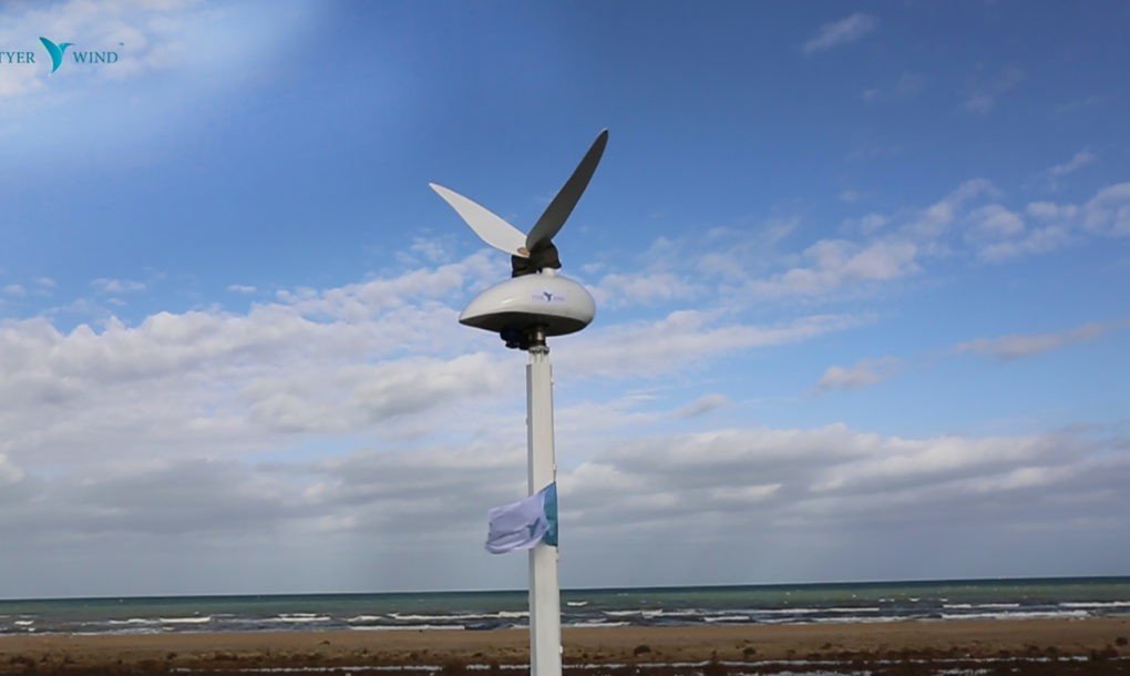 Tyer Wind Humming Bird Wind Turbine 3