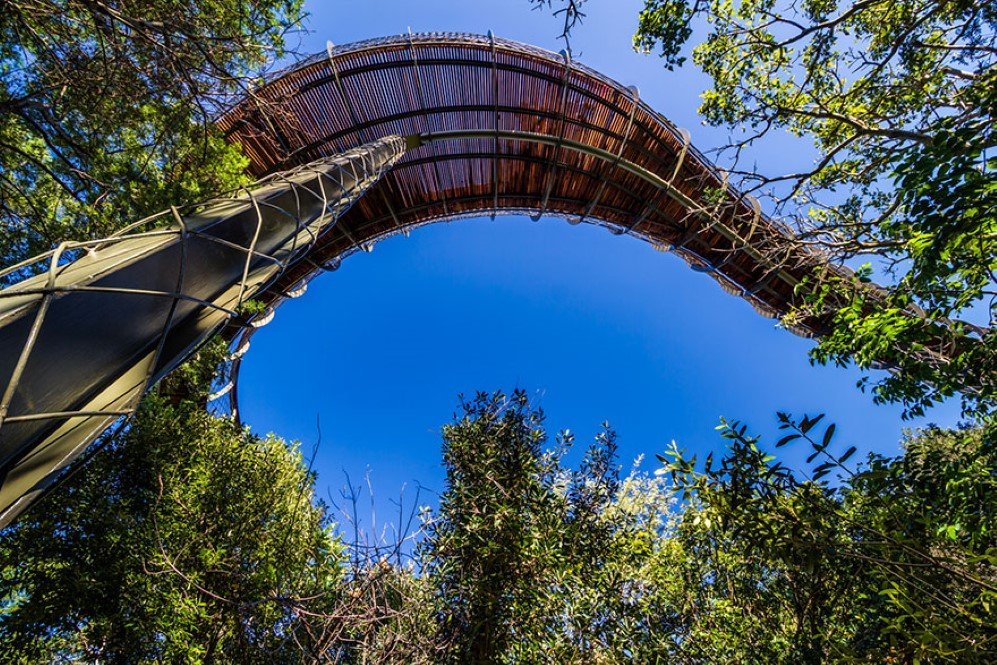 Boomslang Tree Canop Walkway 10