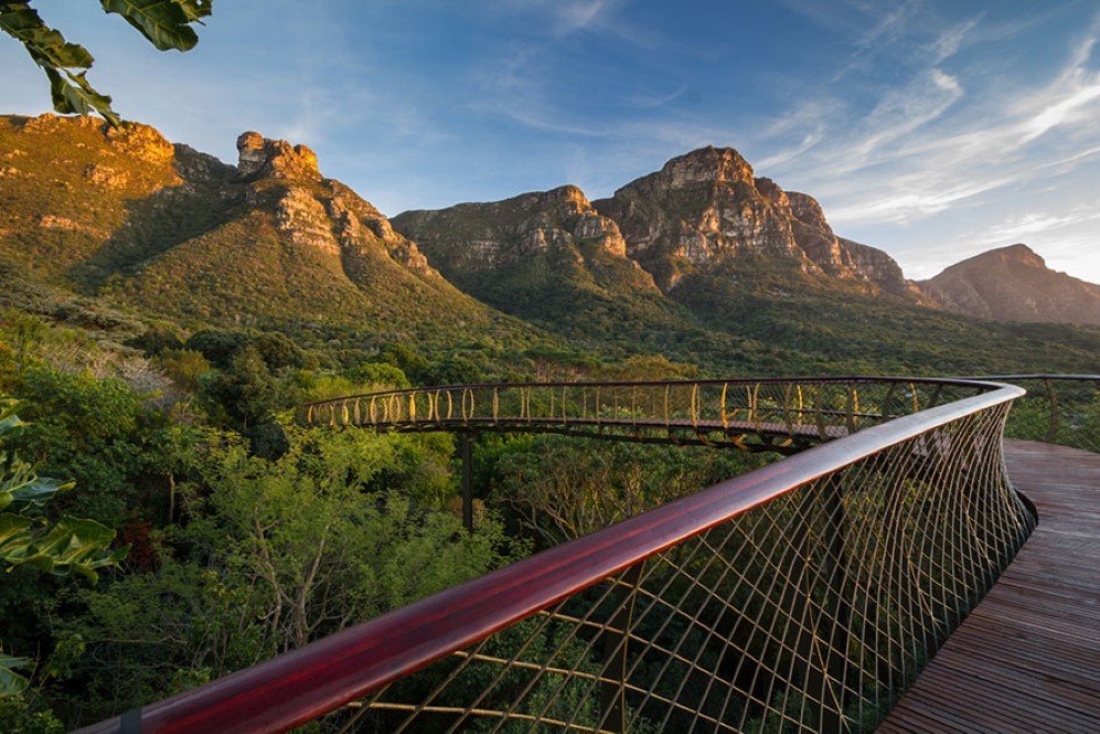 Boomslang Tree Canop Walkway 6