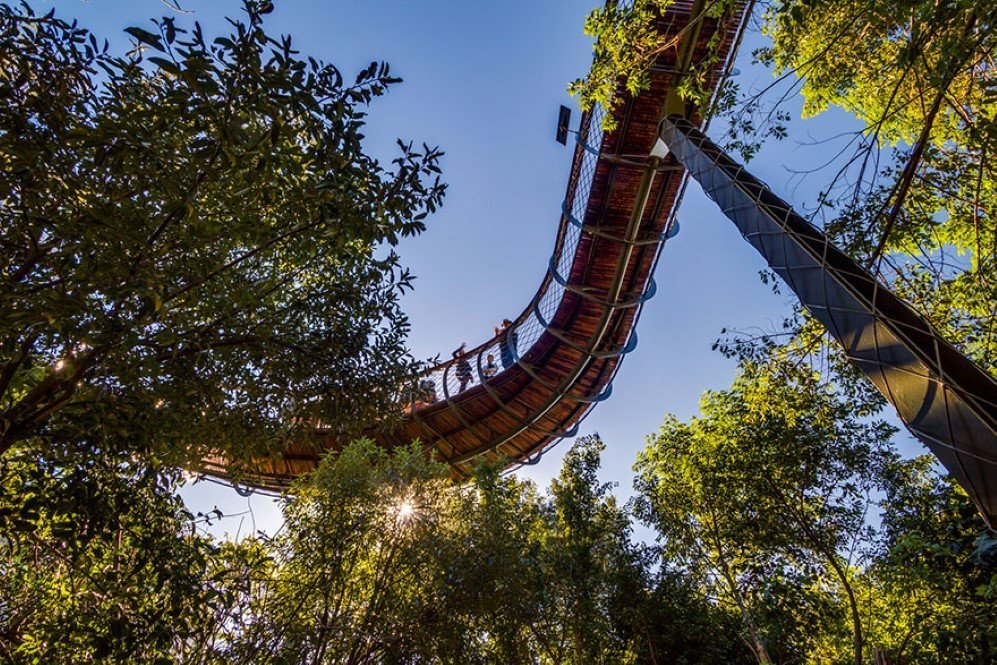 Boomslang Tree Canop Walkway 9