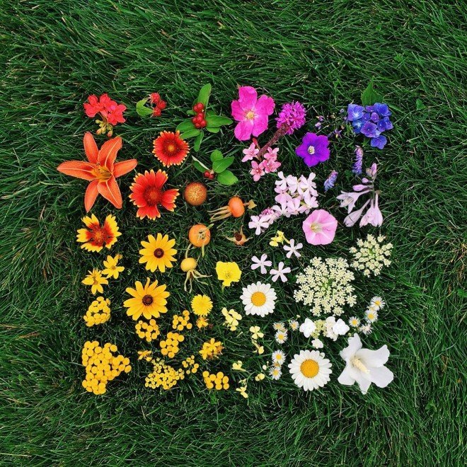 Emily Blincoe Arrangements 24 1