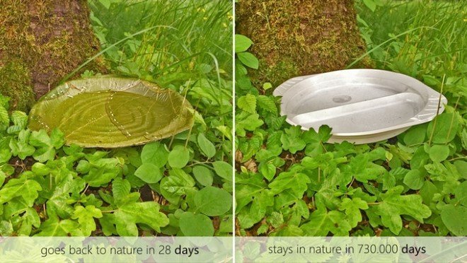 Leaf Republic Leaf Bowls 2