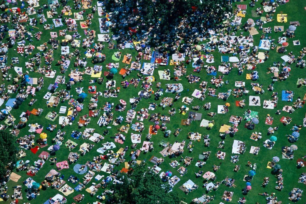Picnickers Watching Live