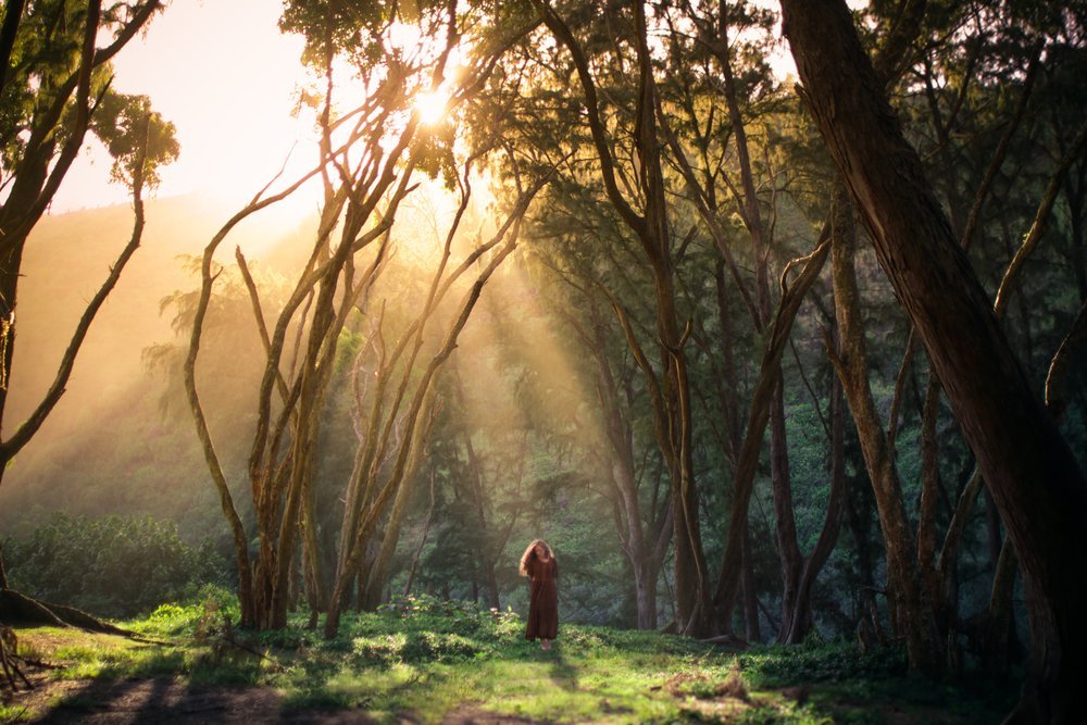 Wanderlust by Elizabeth Gadd 13