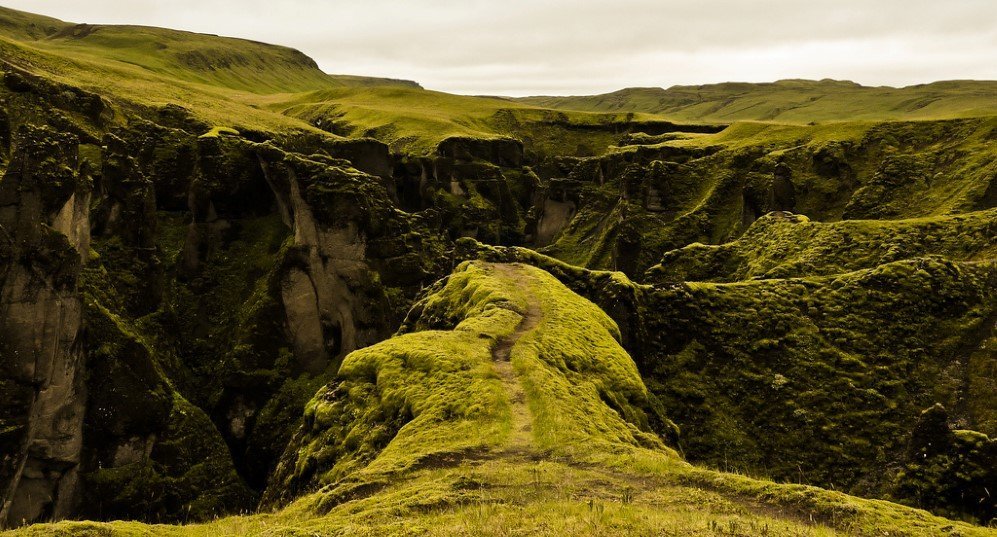 Fjaðrárgljúfur Canyon Iceland 4