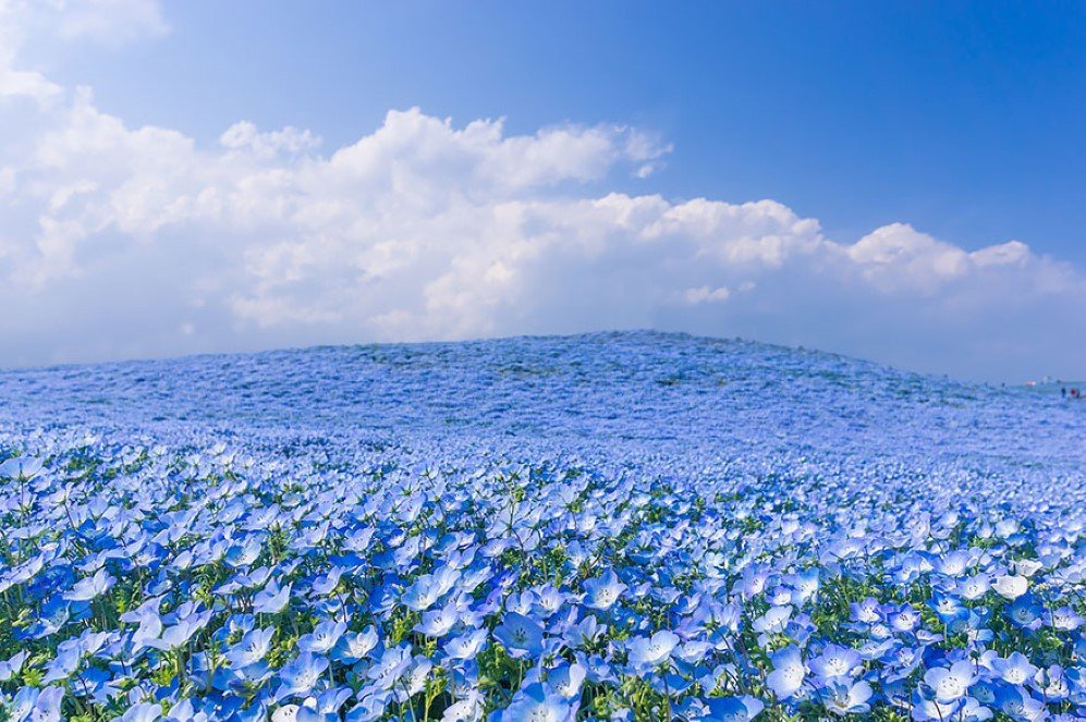Azure