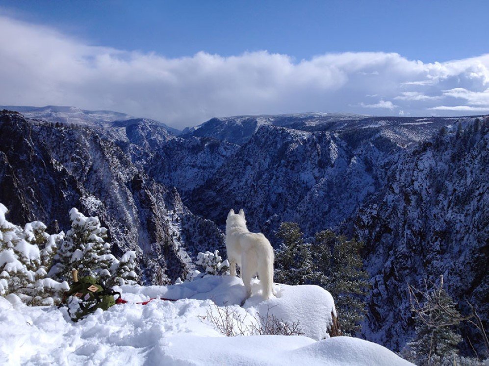 Black Canyon of the Gunnison Colorado
