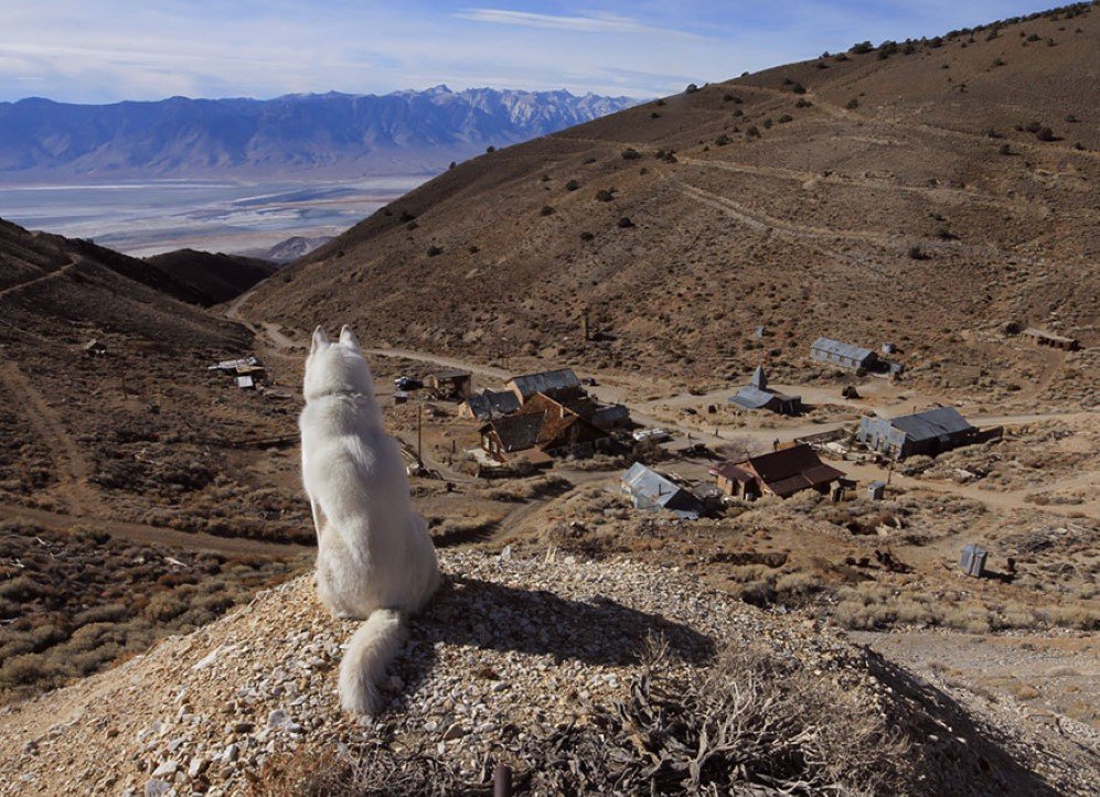 Cerro Gordo Ghost Town CA