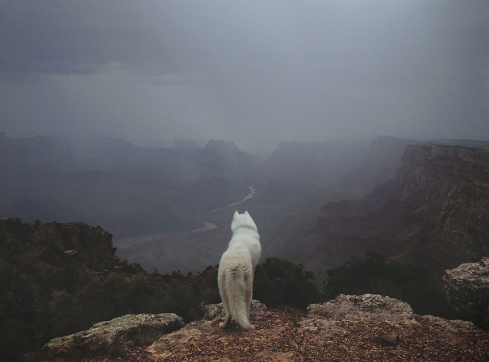 East Rim of the Grand Canyon Arizona