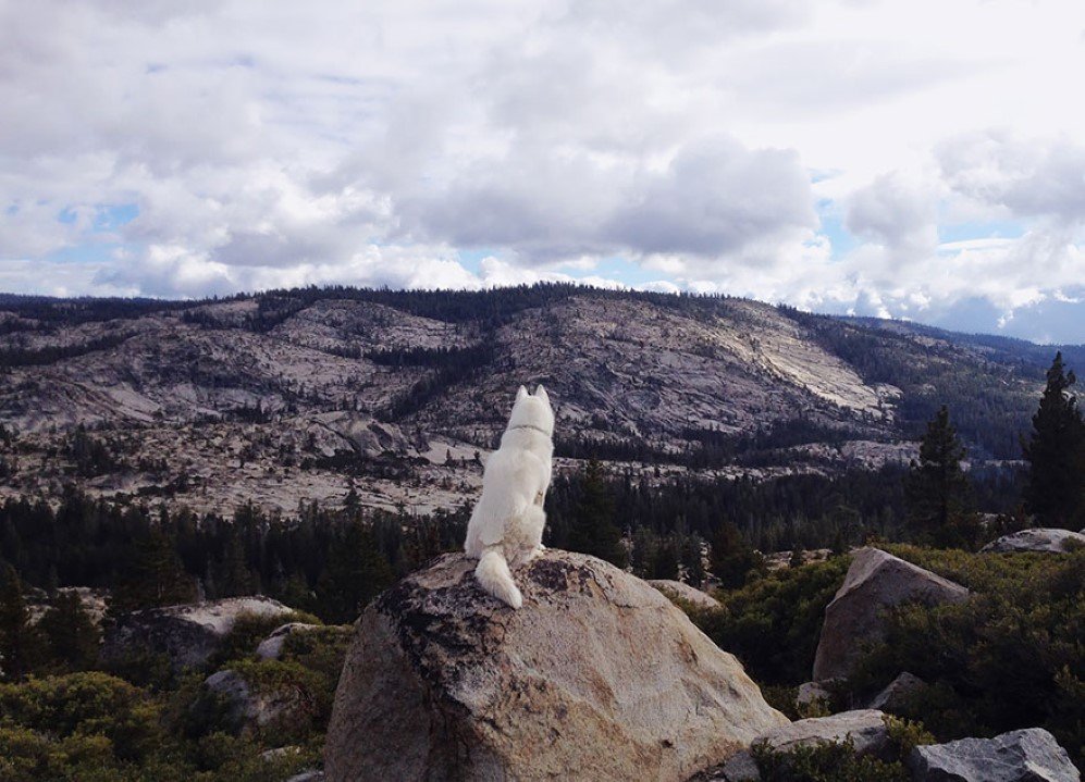 Eldorado National Forest CA