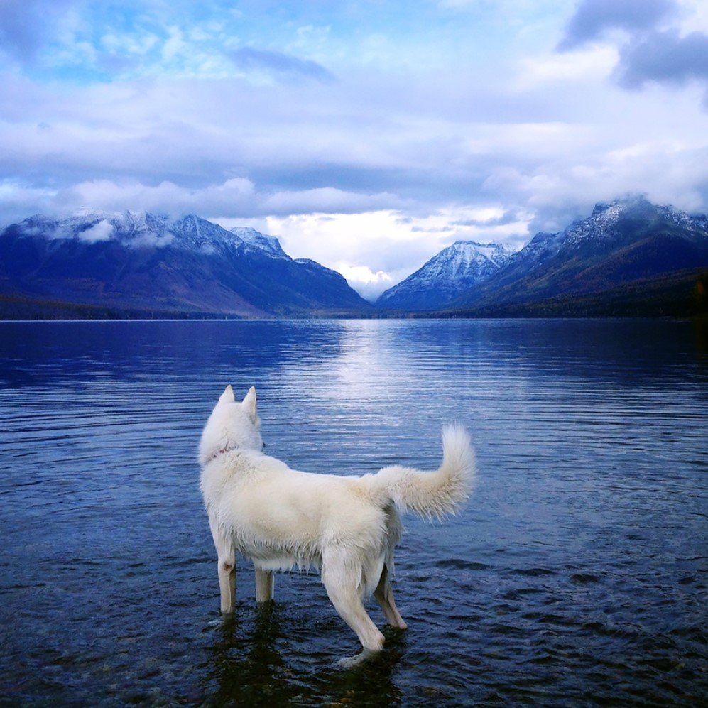 Glacier National Park Montana