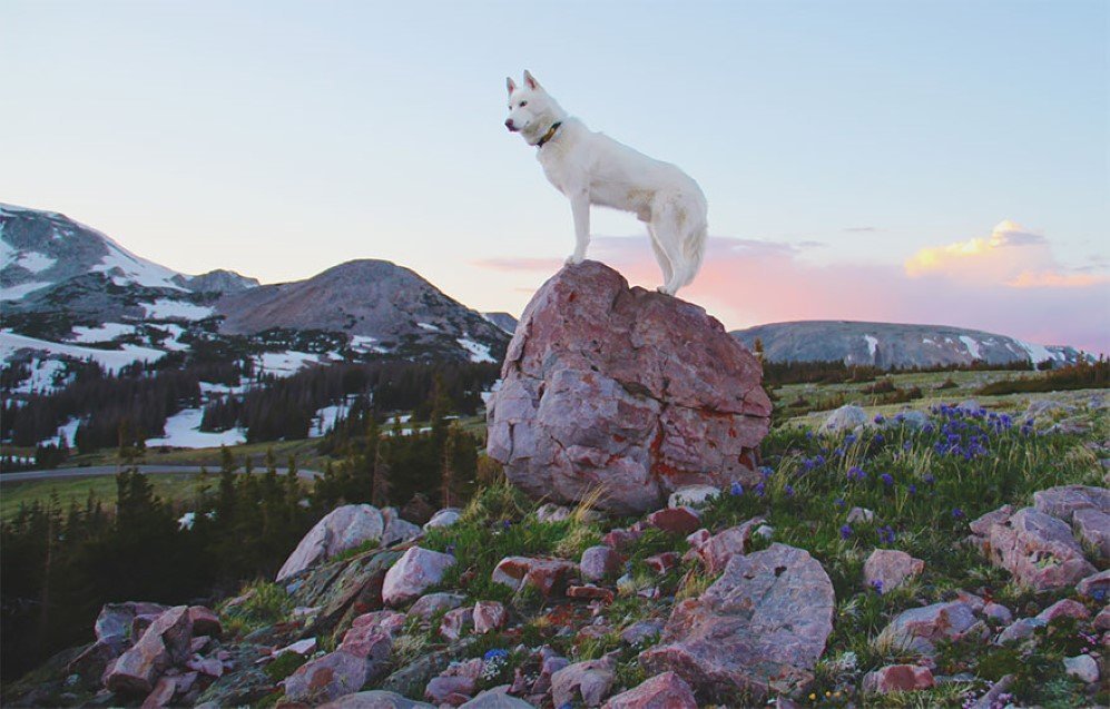 Medicine Bow National Forest WY