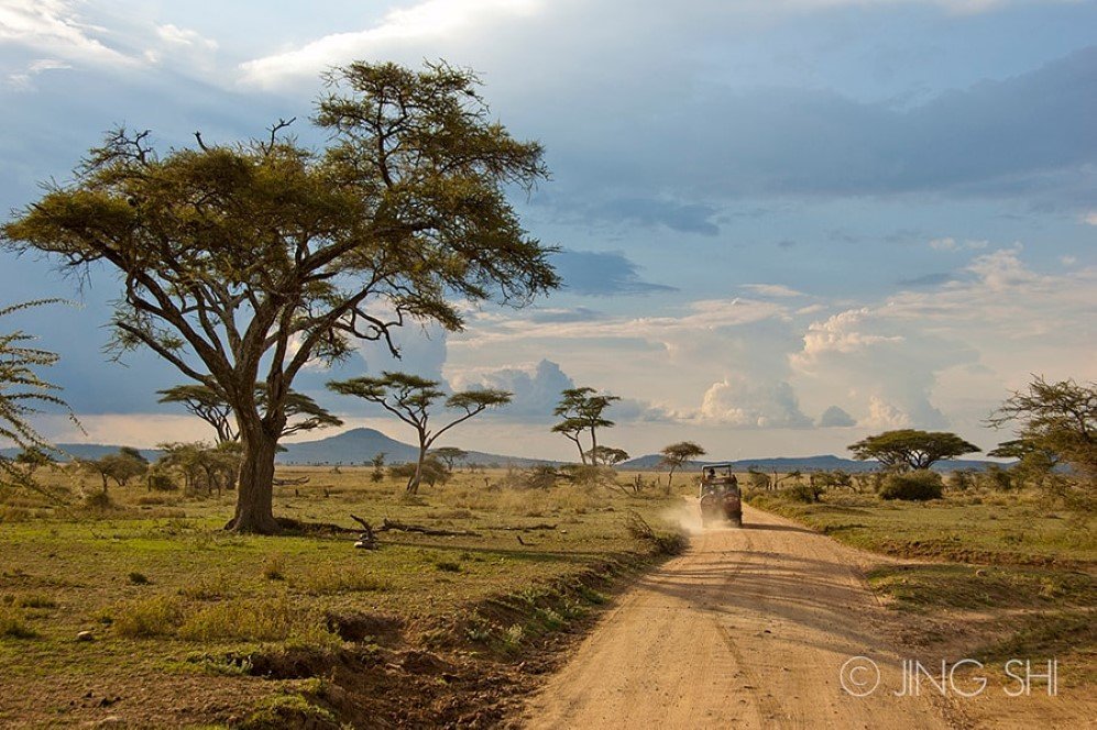 Serengeti National Park Tanzania 1