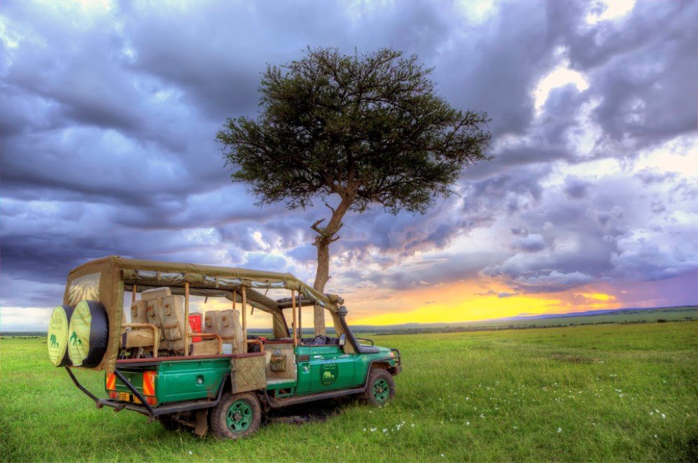Serengeti National Park Tanzania 2