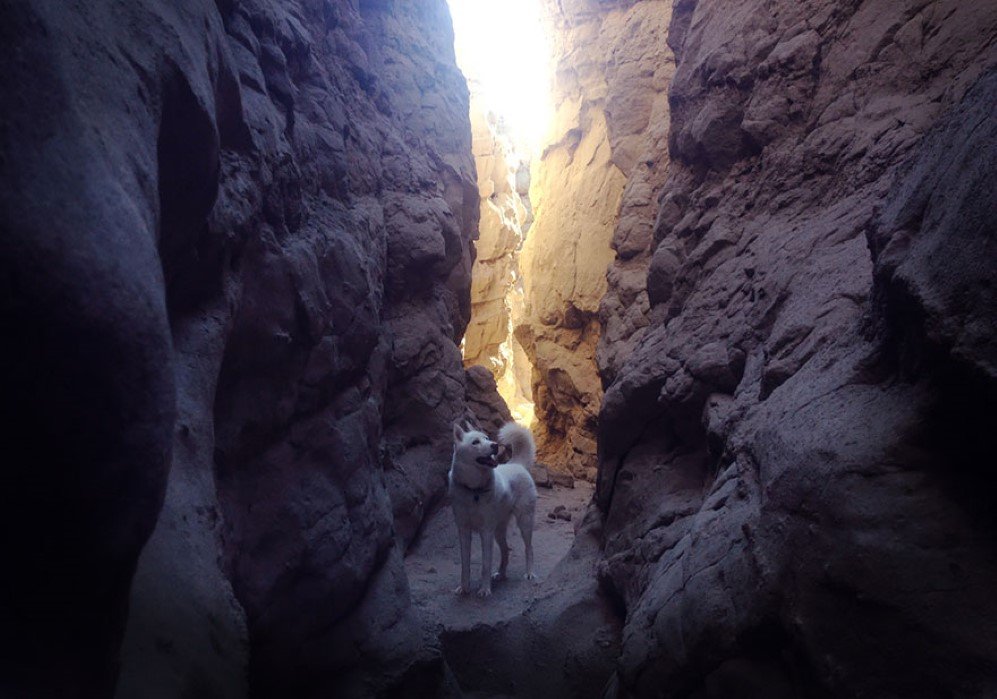 The Slot Canyons of Anza Borrego CA