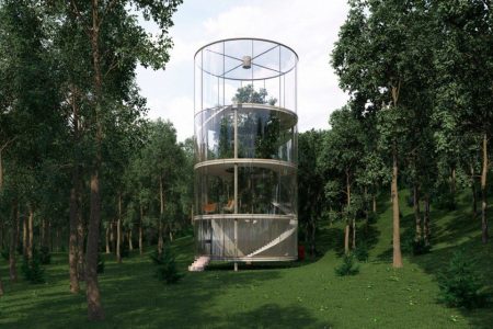 ‘Tree in the House’ will Unite You with the Nature Like Never Before