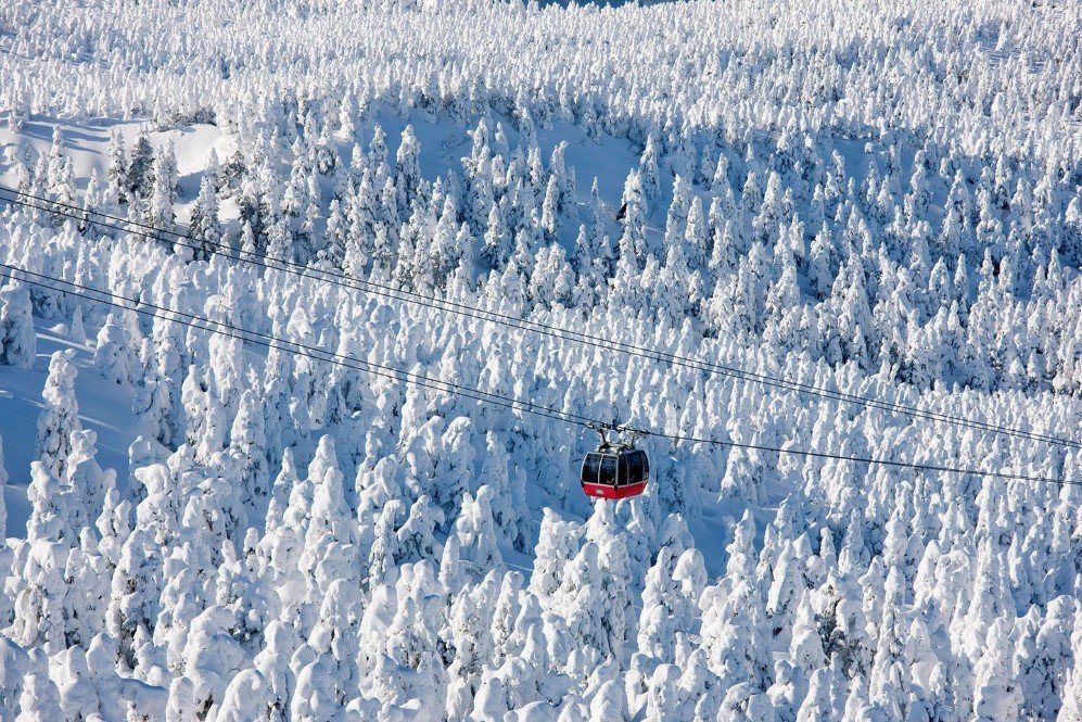 Yamagata Prefecture Japan. Custom