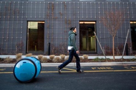 Meet Gita, an autonomous cargo robot that will follow you home with all your stuff in it