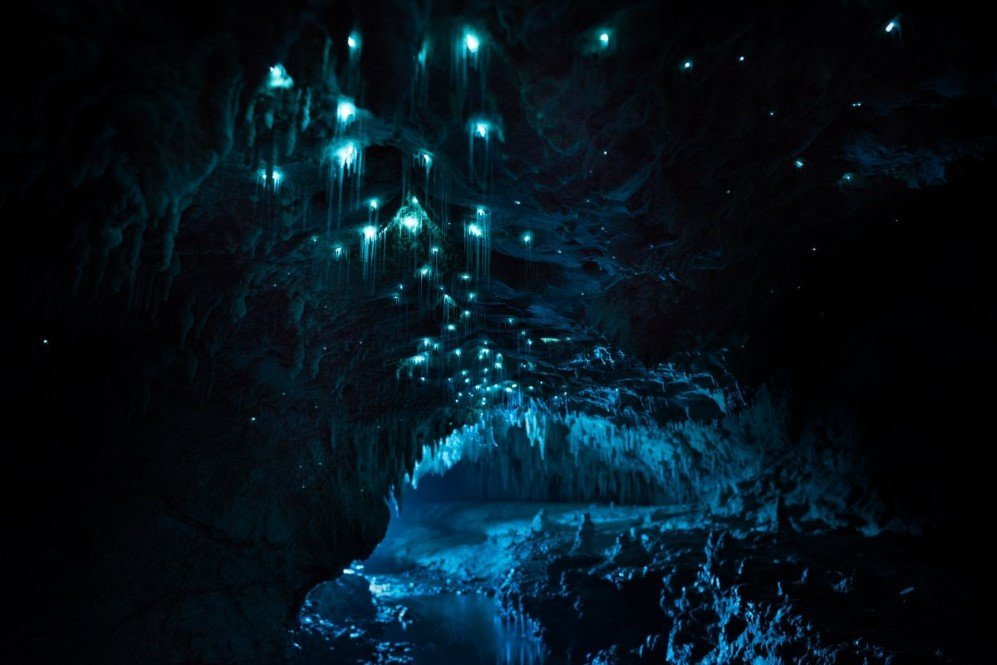 Glowworm Cave New Zealand 10