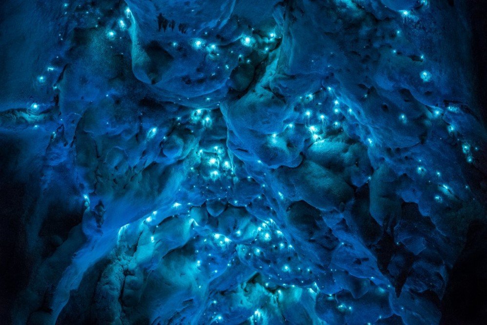 Glowworm Cave New Zealand 12