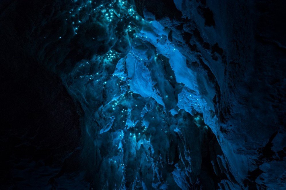 Glowworm Cave New Zealand 13