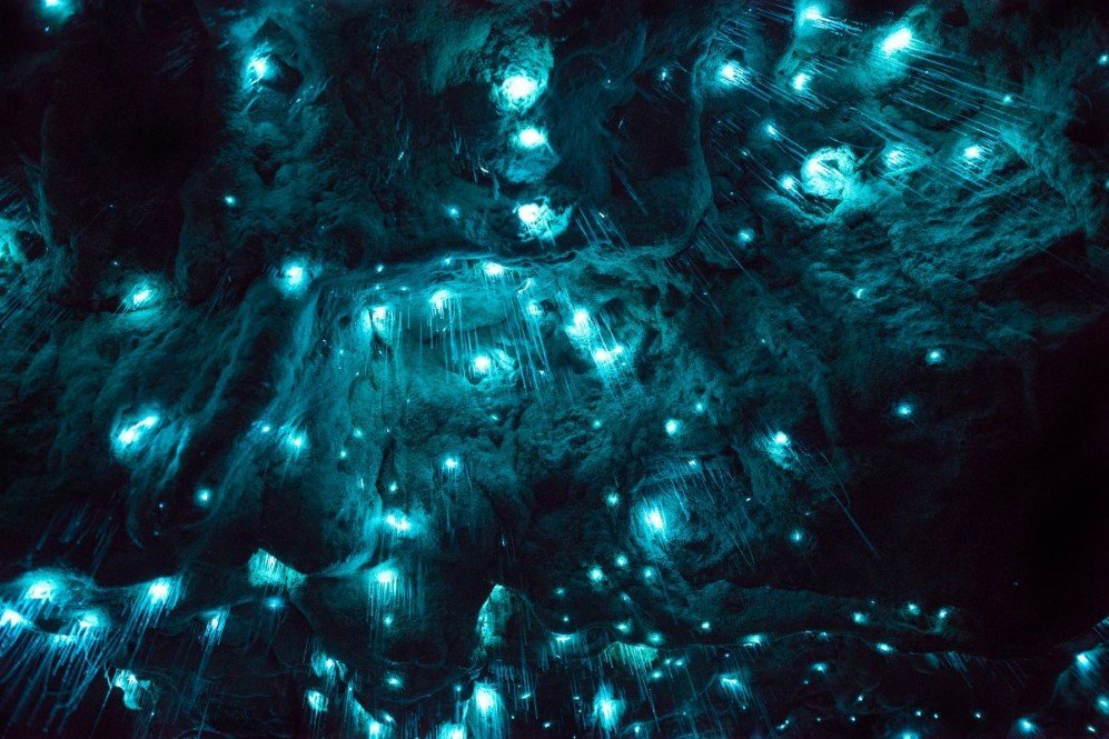 Glowworm Cave New Zealand 2