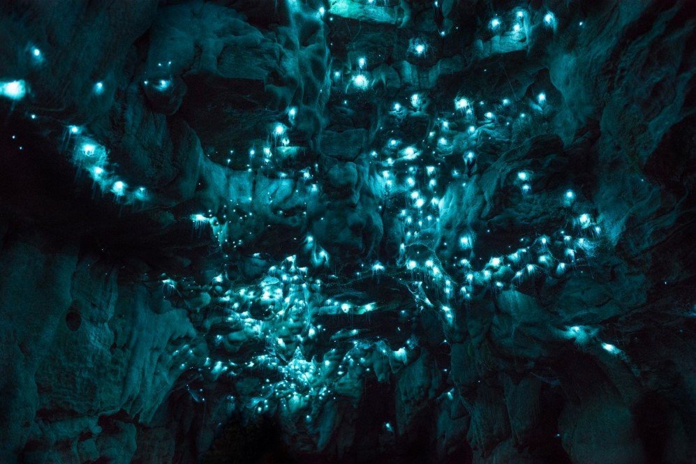 Glowworm Cave New Zealand 3