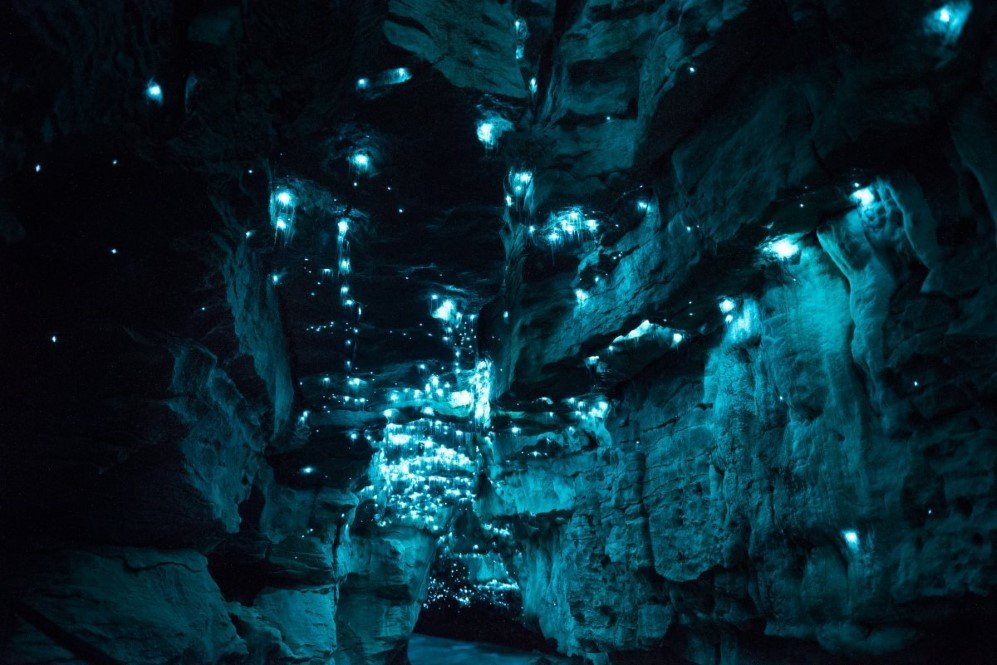 Glowworm Cave New Zealand 5