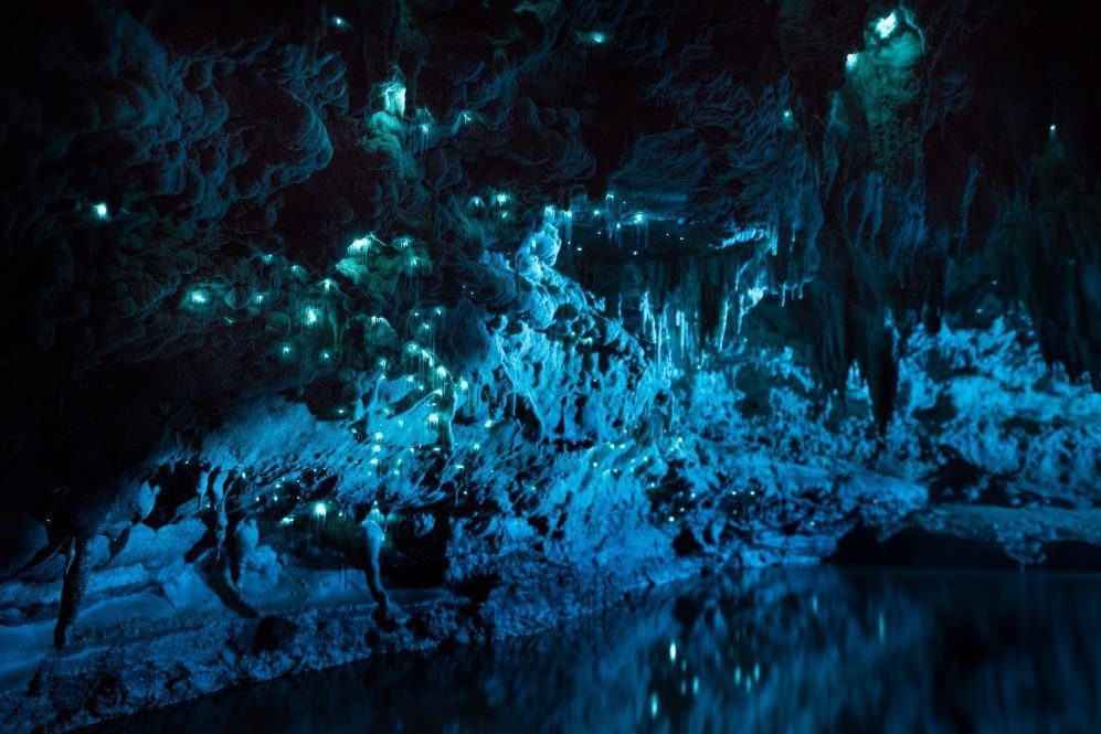 Glowworm Cave New Zealand 6