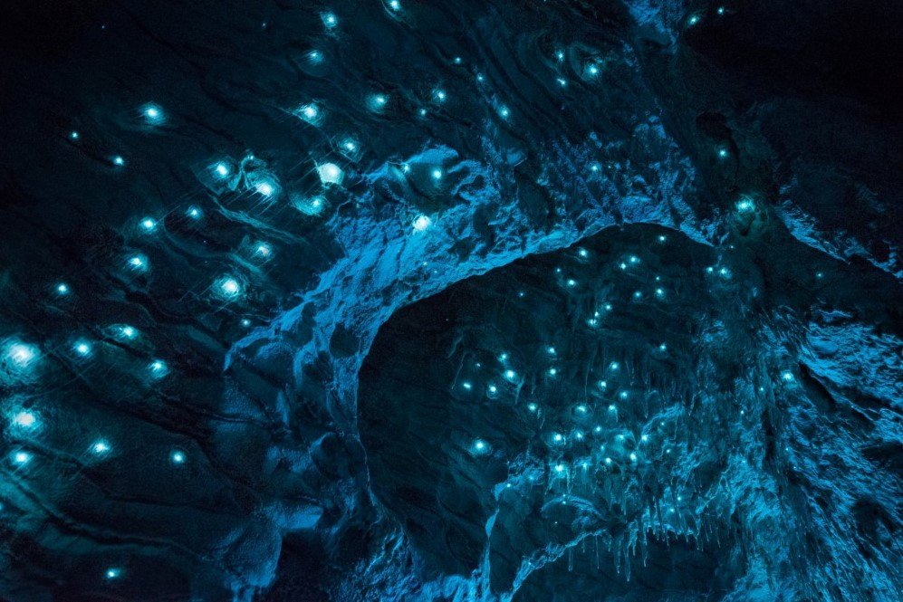Glowworm Cave New Zealand 7