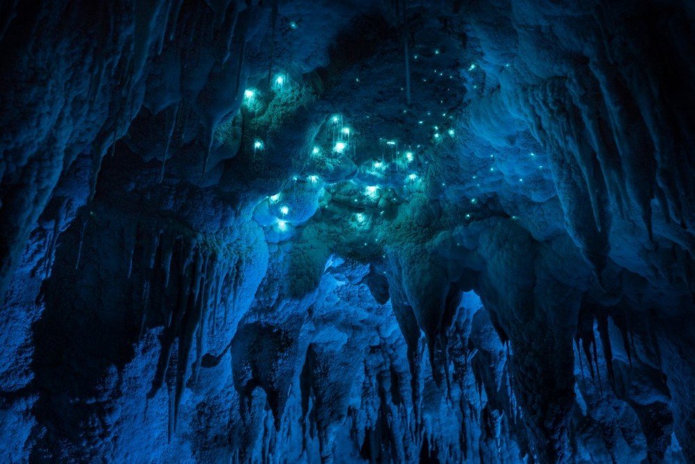 Glowworm Cave New Zealand 8