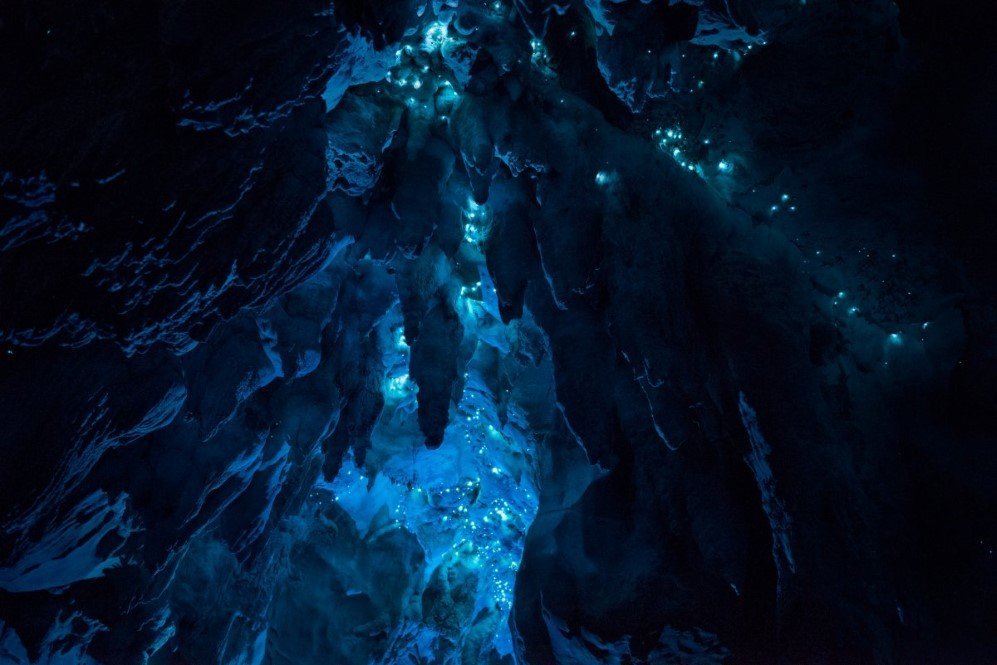 Glowworm Cave New Zealand 9