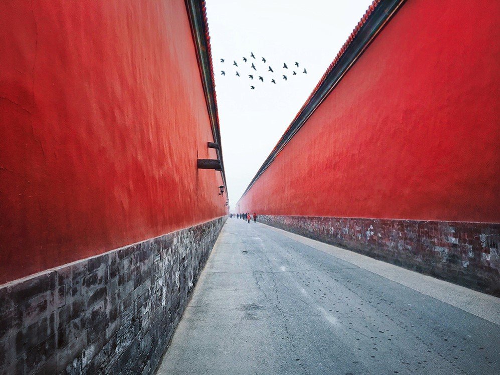 This photo was shot during a trip to the Forbidden City in Beijing. I was walking on this wide boulevard with two high red walls on both sides which really make me feel nervous and majestic. There were pigeons flying around the Forbidden City from time to time, this particular photo was one of the shots I took using the burst mode on my iPhone.
