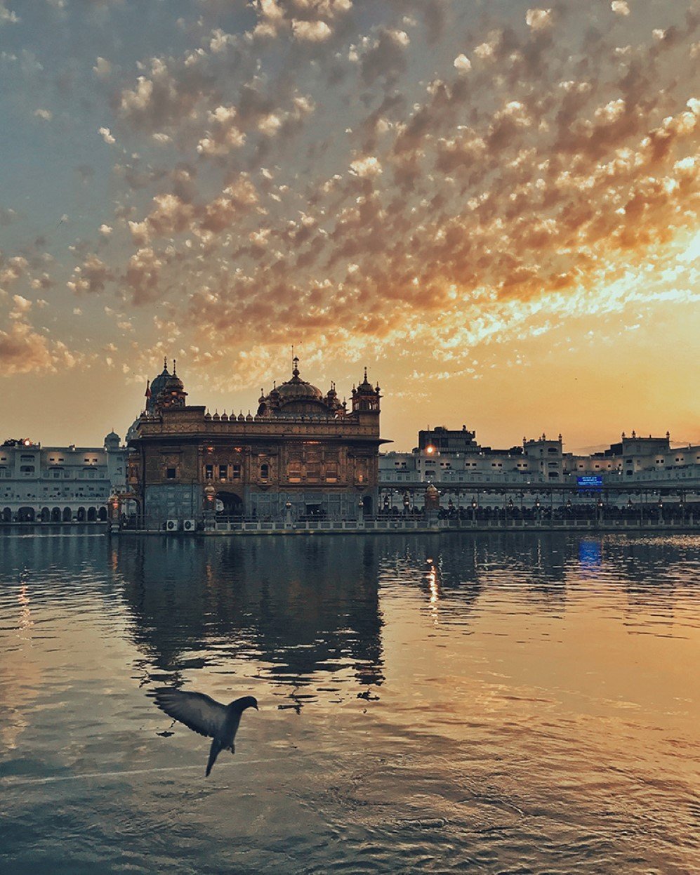 The sunset and the Golden Temple in Amritsar add radiance and beauty to each other. The ripple in water seems to be formed by doves’ flapping of wings. I think photography is derived from life, and only people who love life can take a picture of temperature.