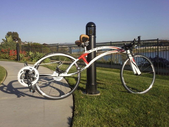 Bird of Prey Bicycle 2