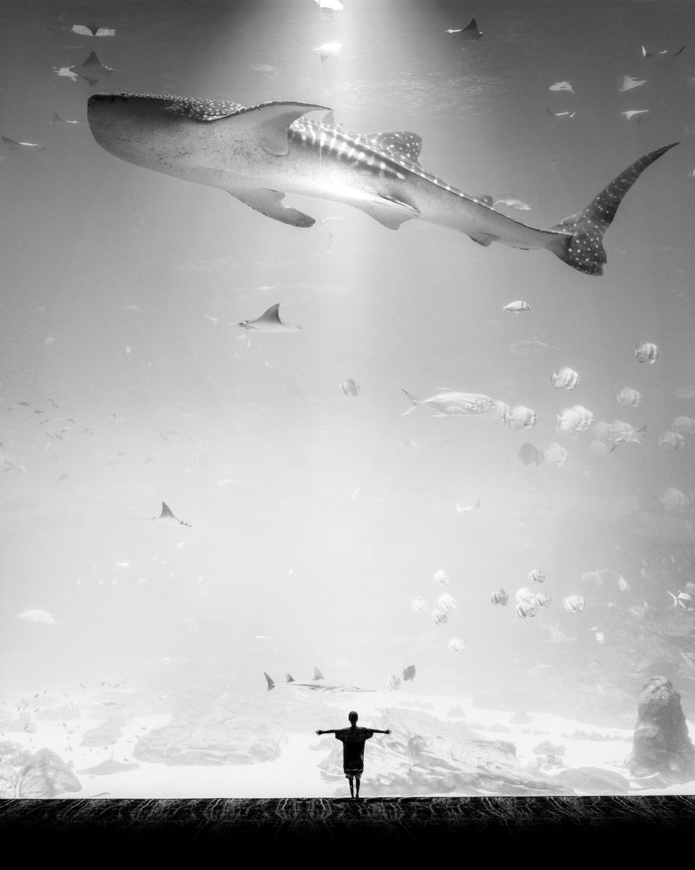 Black and White Photography by Jason Peterson 1