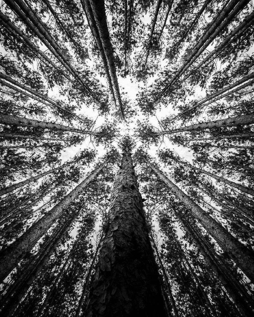 Black and White Photography by Jason Peterson 13