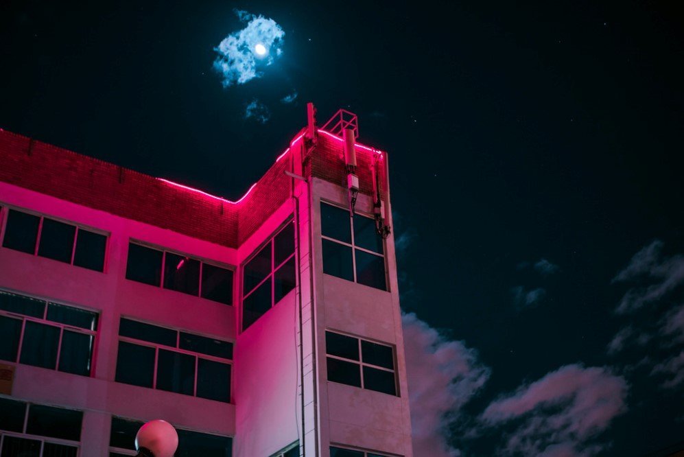 Elsa Bleda Neon Lights 1 2