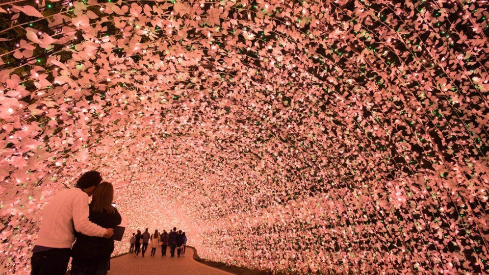 Japan Tunnel of Light 11