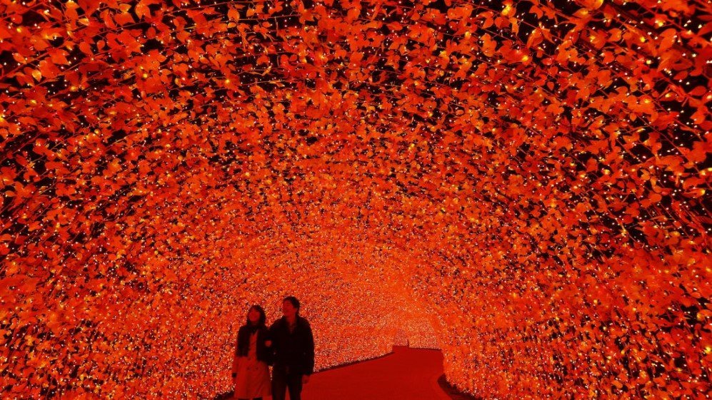 Japan Tunnel of Light 2