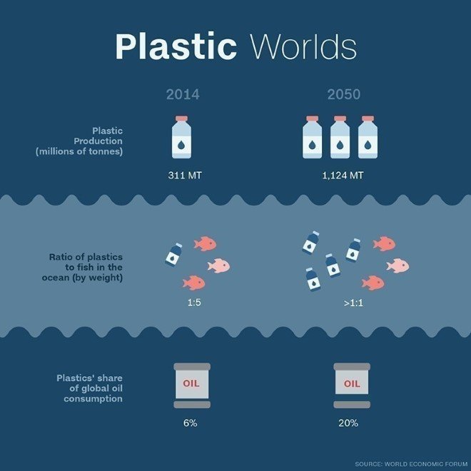 Plastic Eating Fungus Discovery 1