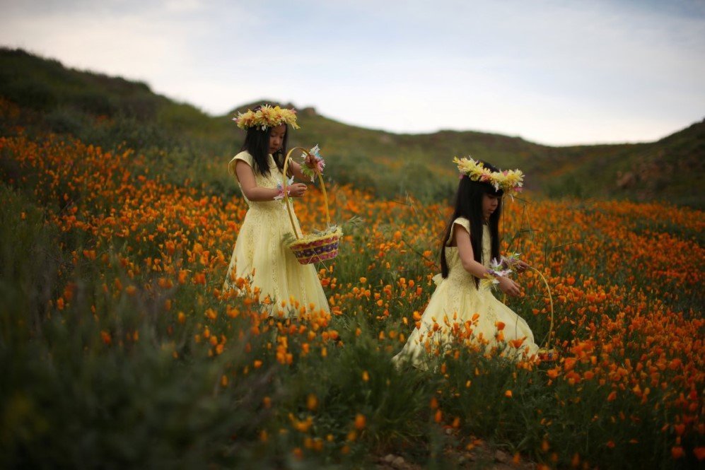 two young girls walk through a massive spring wildflower bloom caused by a wet winter in lake elsinore california on march 14 2017