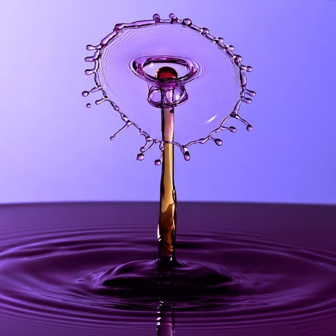 A tall splash of purple